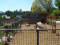 westanranch3